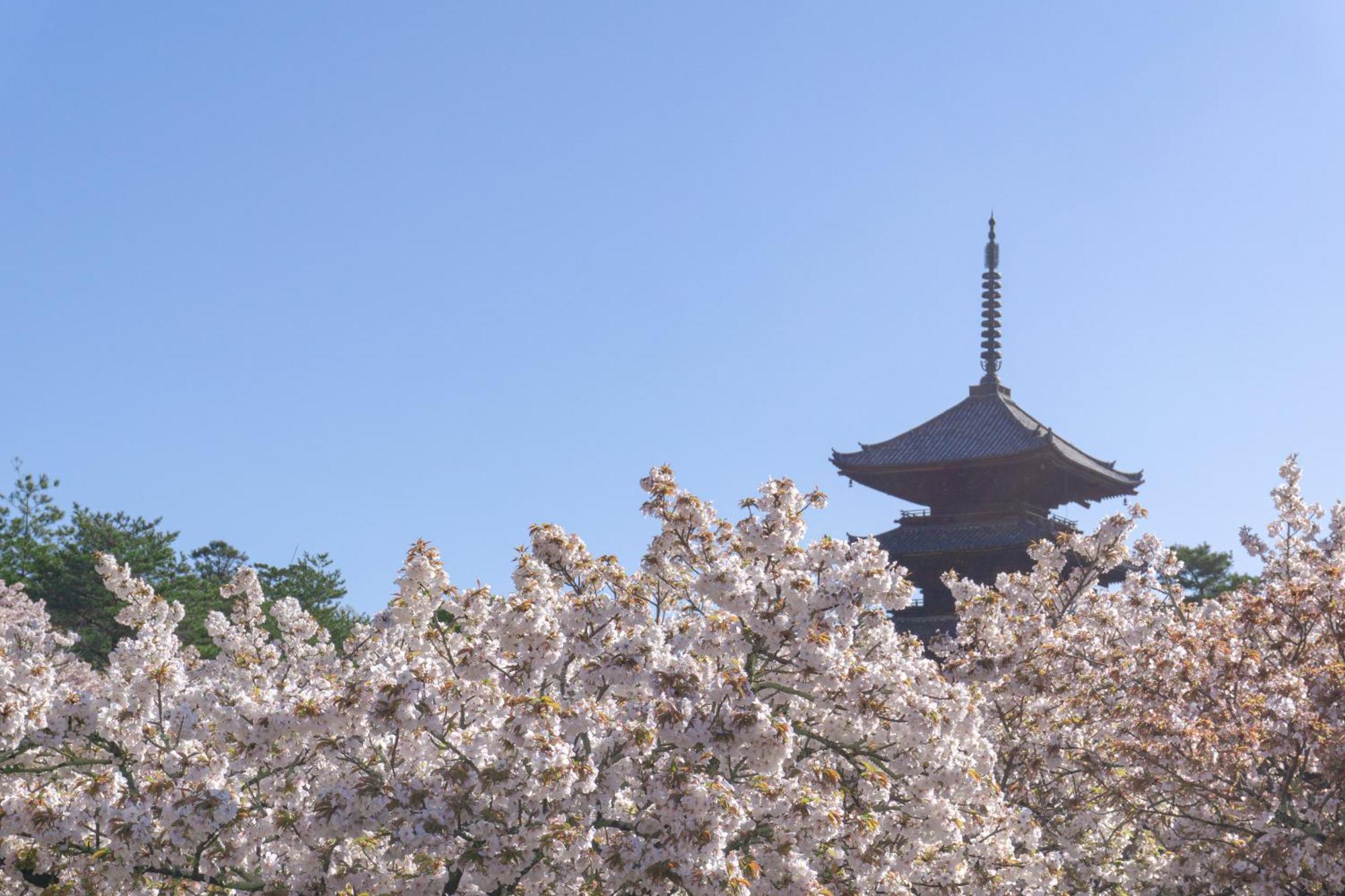 Tokyu Stay Kyoto Sakaiza Shijo Kawaramachi Εξωτερικό φωτογραφία
